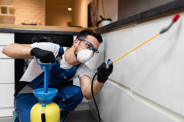 Best Best Pest Control Companies  in New Castle Northwest, PA