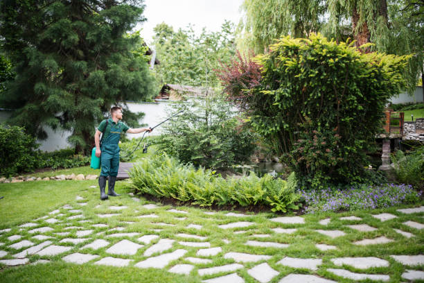 Best Pest Control Near Me  in New Castle Northwest, PA