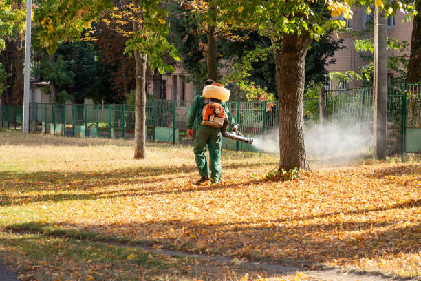 Best Termite Control Services  in New Castle Northwest, PA