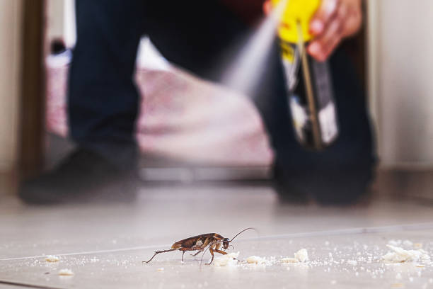  New Castle Northwest, PA Pest Control Pros