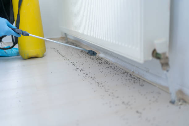 Best Affordable Pest Control Services  in New Castle Northwest, PA